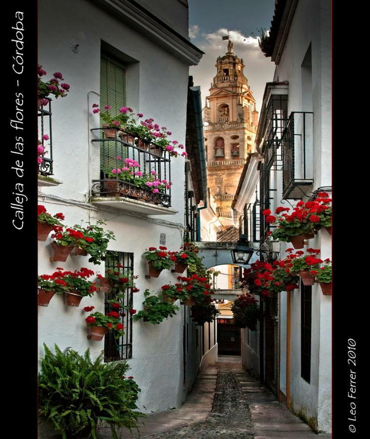 Luxury Viana Apartments Córdoba Eksteriør billede